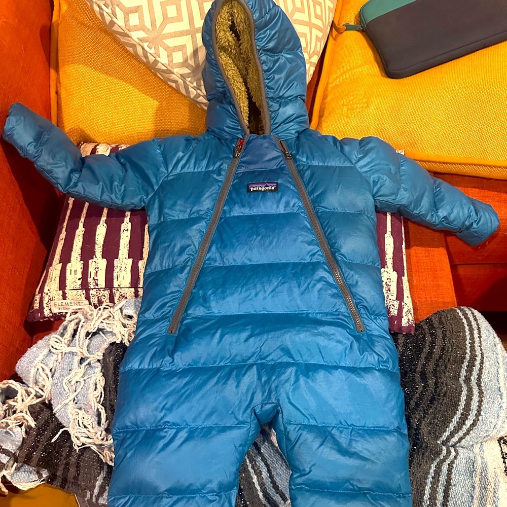 Patagonia Down Bunting